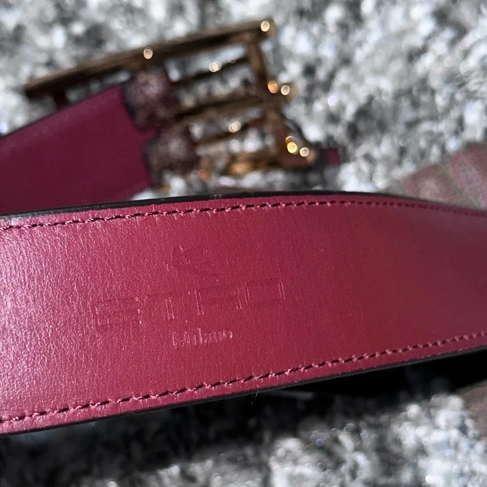 NWT ETRO Mixed-Media Belt With Golden Hardware - Size: 90cm/36in (L) (8/10)